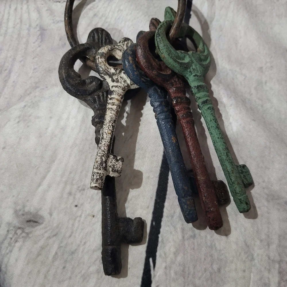 Vintage Style Multicolor Cast Iron Key Wall Decor